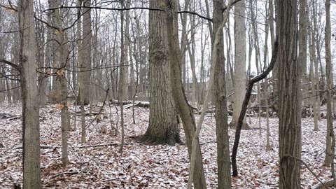 A Little Snow in Southeast Michigan Again