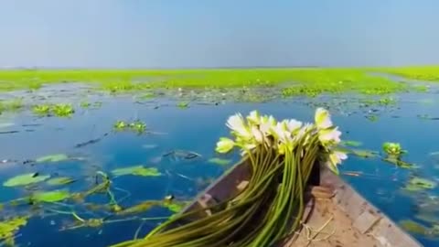 তিনবার পড়লে অথবা শুনলে এক খতম কোরআন খতমের সোয়াব পাওয়া যায়।