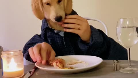 Golden retriever makes herself a home cooked meal