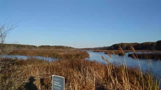 Mentor Marsh State Nature Preserve Lake County Ohio