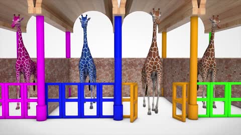 Giraffe cartoon video learning colors for children in English