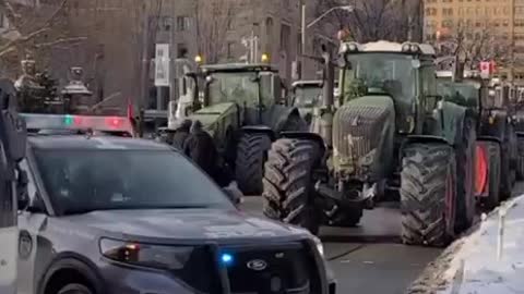 Freedom Convoy to Queens Park, Toronto Canada setting up