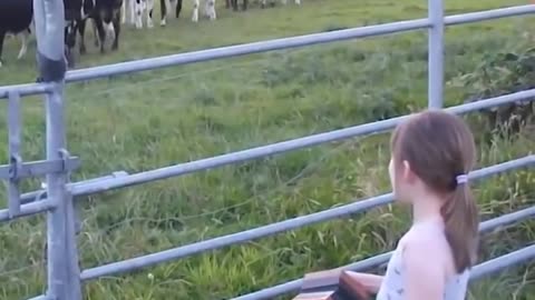 The Power of Music | Little Girl Serenades Herd Of Cows | Music is Love
