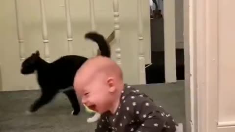 Cute cat play in boy 😍 cat lovely moments