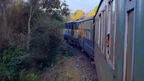 Indian toy train