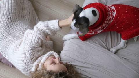 Top view of playful doggy and girl in warm sweaters enjoying their sweet company at home