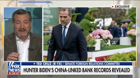 Cruz: Hunter Evidence Of Corruption Is Overwhelming But DOJ Leaks Are Troubling