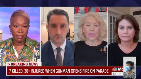 Highland Park shooting blamed on Americans being 'slaves' to an 'ancient document:' MSNBC guest
