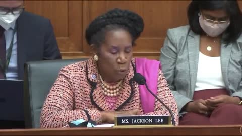 Sheila Jackson Lee Claims "The Border Is Both Sovereign And Secure"
