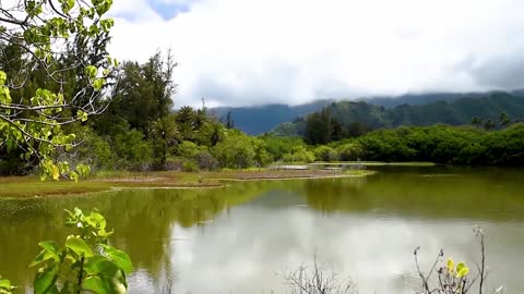 Relaxing Music and Clam with Nature