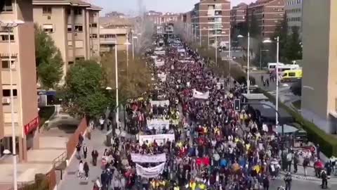 Yellow Vests 💥💥 Andalusia