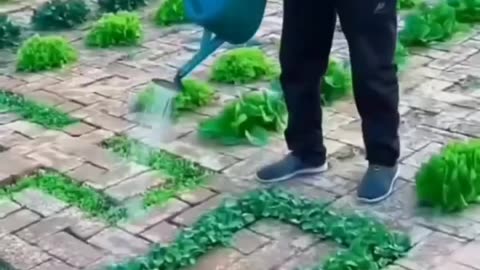 Unique idea for gardening