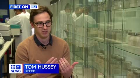 Australian innovators create copper face masks | Coronavirus | 9 News Australia