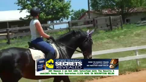 Safe horse trening! How to ride a horse for beginners.