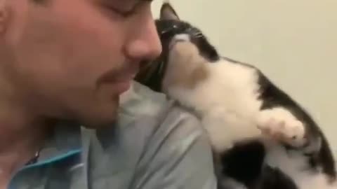 LOOK CAT ACTING LIKE HIS GF ‖ funny video