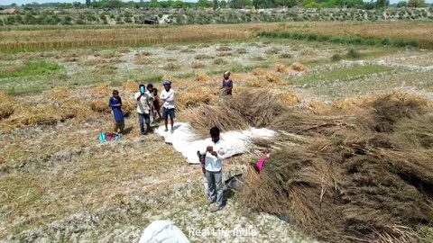 Life Of Poor Farmers In UP India [ Uttar Pradesh Village Life ] Rural Life In India
