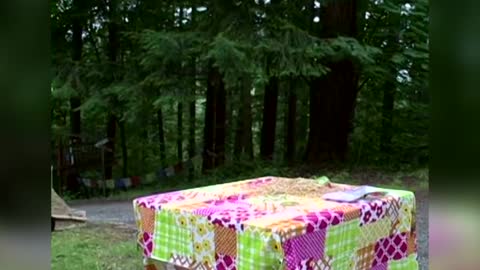 Father And Son Explode Watermelon