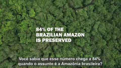 A verdade e a mentira sobre a Amazônia