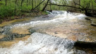 Ozark Creek - Arkansas [ May 2021 ]