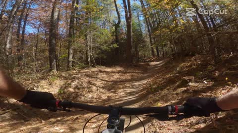 Updated Jim Branch Isaac Heath and Locust DH DuPont State Forest North Carolina