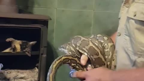 Snaking a Fireplace