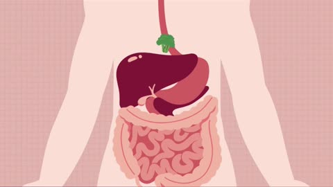 JOURNEY throughThe DIGESTIVE SYSTEMS #humanbody #ytshorts #foryou #viralvideo