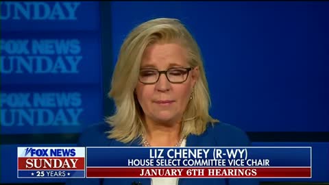 Rep. Liz Cheney: Trump 'preyed' on patriotism of good Americans