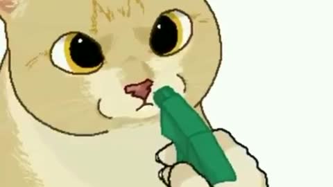 Funny kitten water gun video