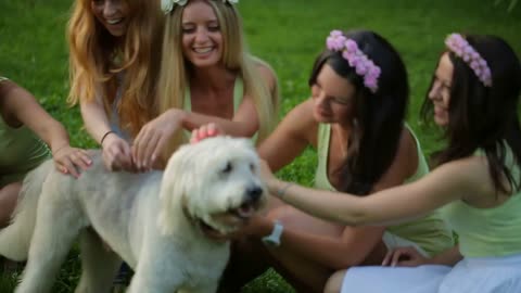 Beautiful girls play with dog in park