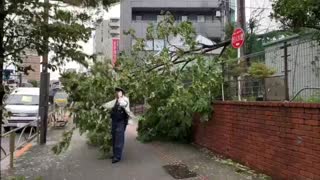 Un muerto y decenas de heridos por el paso de un nuevo tifón en Japón