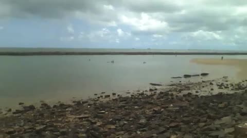 Filmando o mar calmo de um lado ao outro, muitas pedras e barcos de pesca [Nature & Animals]