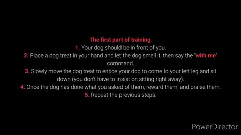 How To Train a Dog from Beginning #dogtraining