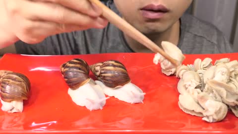 LIVE white snails || MUKBANG EATING