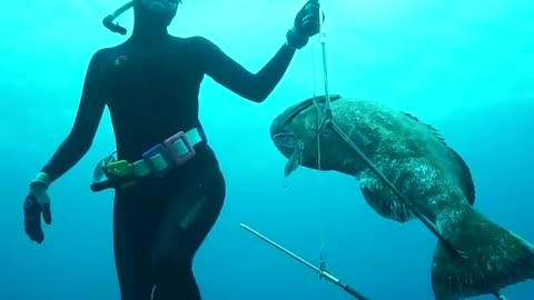 DIVE AND CATCH CORAL FISH