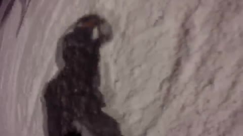 Skier boarder ski lift faceplant