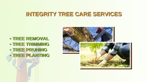 Remarkable Tree Removal in Monroe | Integrity Tree Care