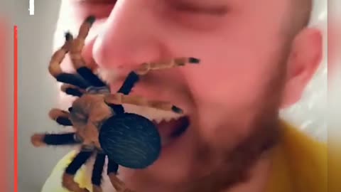 Spider on face 😂 so mean! But funny