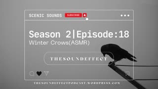 Scenic Sounds | Season 2: Episode: 18 | Winter Crows (ASMR)
