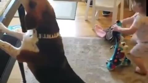 dog playing piano and sings child dancing