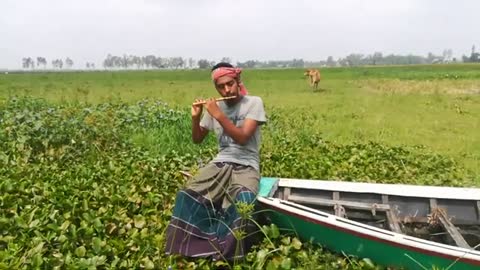 Beautiful Village in Bangladesh Village Area View