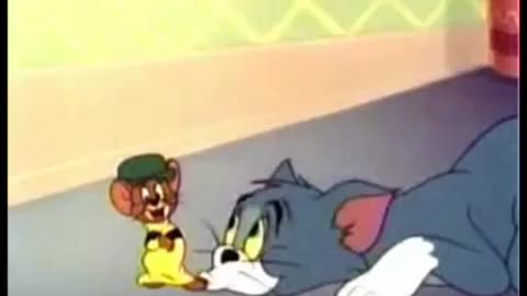 Cartoon video| Tom and Jerry | comedy video