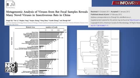 BOMBSHELL: Dr. Judy Mikovits Exposes The Plan to Implant Humanity with Cancer Viruses