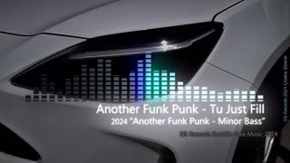 Another Funk Punk - Tu Just Fill