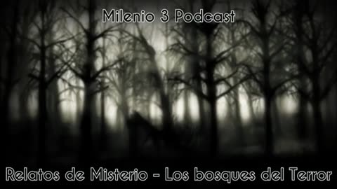 Relatos de misterio - Los bosques del Terror - Milenio 3 Podcast