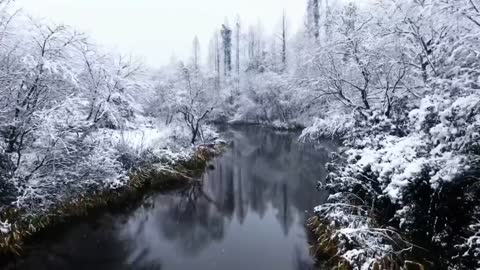 Between lakes; Shuishang forest