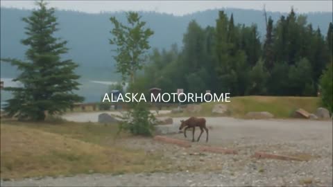 First vacation in 8 years , exploring the interior of Alaska in the motorhome