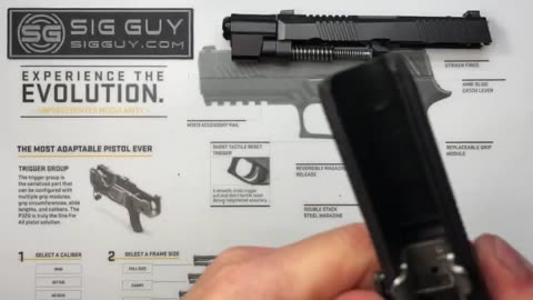 Tyrant Designs SIG Sauer P320 Trigger Installation