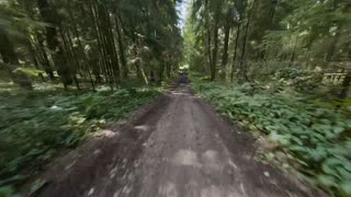 Dirt Bikes-Trail Riding 1
