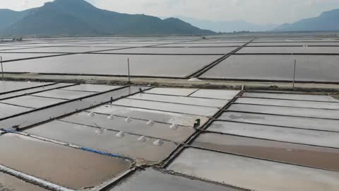 salt fields, food for daily meals