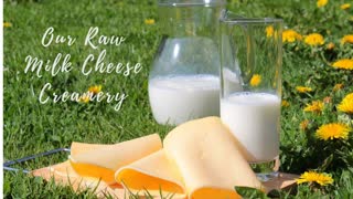 Our Raw Milk Cheese Creamery Progress